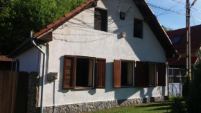  Casa Sasca Montana  Саша Монтана